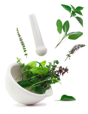 naturopathe Digne les bains naturopathe Digne les bains